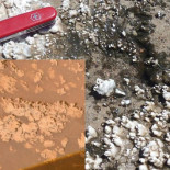 ¿Descubrió el rover Spirit señales de vida pasada en Marte?