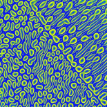 Una tarde en el DIPC