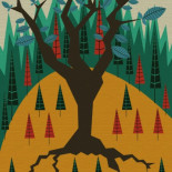 Reinventando las plantaciones forestales