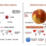 Melocotones naturales frente a melocotones artificiales