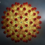 Un medicamento contra el cáncer resulta ser muy efectivo contra la Hepatitis B