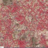 Coches bombas en Bagdad desde la invasión en 2003