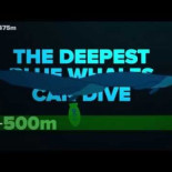 ¿Cómo de profundo es el océano?