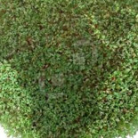 La Tierra después de Pornhub