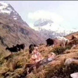 El dia que Heidi paralizó la NFL