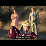 ¿Por qué debemos dejar de criar bulldogs?