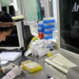 La ciencia desnuda un crimen de EE.UU. contra Cuba en 1981