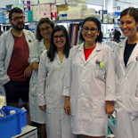 Danos cinco euros y tal vez encontremos una cura contra varios tipos de cancer