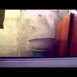 Gatos gatos y mas gatos