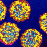 Hepatitis C: Un nuevo tratamiento supone un punto de inflexión en su curación total [ENG]