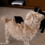 ¡Quítamelo, quítamelo!