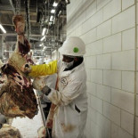 Despiden a 200 empleados de una factoría cárnica en Fort Morgan que reclamaban un lugar de oración [ENG]