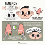 Dos ojos para ver mejor, dos orejas para escuchar mejor, dos fosas nasales para, ¿qué?