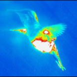 18 años de Neofronteras