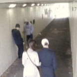 Dos cucarachas, un insecticida