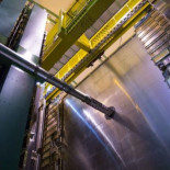 El LHCb confirma la existencia de los hadrones exóticos