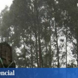 Cuatro heridos en el derribo de una cruz franquista en Vizcaya al caerles piedras