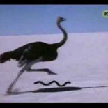 Talk Talk - It´s My Life