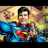 Cómo rescatar un gato