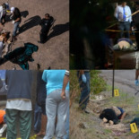 65 mexicanos pierden la vida en 24 horas