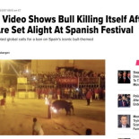 El Toro Embolado que indigna al mundo