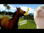 "Techno Horse" por The Kiffness (Remix del pollo de goma) [ENG]