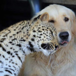 Friends will be friends