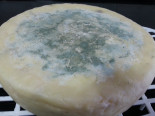 Cómo hacer un queso azul semicurado con leche del supermercado