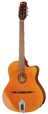 Vamos a hablar de la guitarra Richwood RM 70