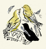 Lo que las aves de mi balcón me han enseñado sobre la pandemia