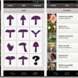 De setas con el móvil