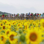 Ciclismo a 54 km/h sin pedalear: la ciencia que explica las propiedades aerodinámicas del pelotón