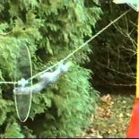 Misión imposible: ardilla