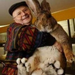 Parece Photoshop, pero no