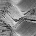 El surco de un vinilo aumentado 1000 veces