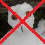 Pedriyu me tienes hasta los pendientes reales