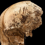 Los primeros colonos británicos en América recurrieron al canibalismo para sobrevivir