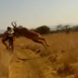 Una razón para no hacer Mountain Bike en Sudáfrica