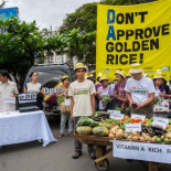 Respuesta de Greenpeace ante la carta de los premios Nobel sobre los transgénicos
