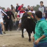 La Junta rechaza la petición para el Toro de la Vega