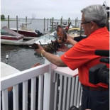 Liberan a “Louie”, la langosta de 132 años y tras décadas de cautiverio