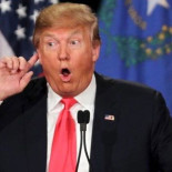 PornHub aumenta en visitas gracias al cierre de la administración de Donald Trump