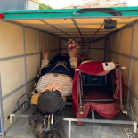 Roban de madrugada los "Gegants Vells" del Vendrell