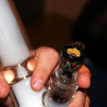 Tus creencias y expectativas afectan tus viajes de drogas