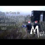 La Asociacion Lobo Marley toma la accion y destruye casetas ilegales desde las que se asesina lobos impunemente
