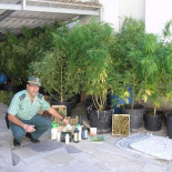 20 incautaciones de marihuana que evidencian el postureo de la Guardia Civil