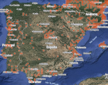 Especies de bosques mediterráneos en la península
