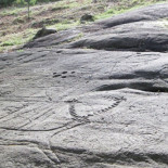 Un tractor destroza un petroglifo del parque rupestre de Campo Lameiro