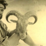 El naturalista que fue encañonado por falangistas por estudiar insectos