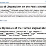 5 floras vaginales y diferentes bacterias en penes no circuncidados